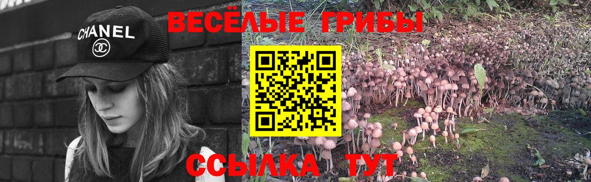 Галлюциногенные грибы прущие грибы  Псилоцибиновые грибы Psilocybine cubensis  Вход с VPN  Десногорск 